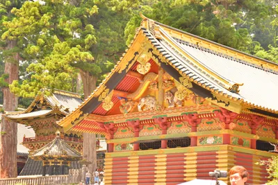 DSC_3855 (Large).JPG